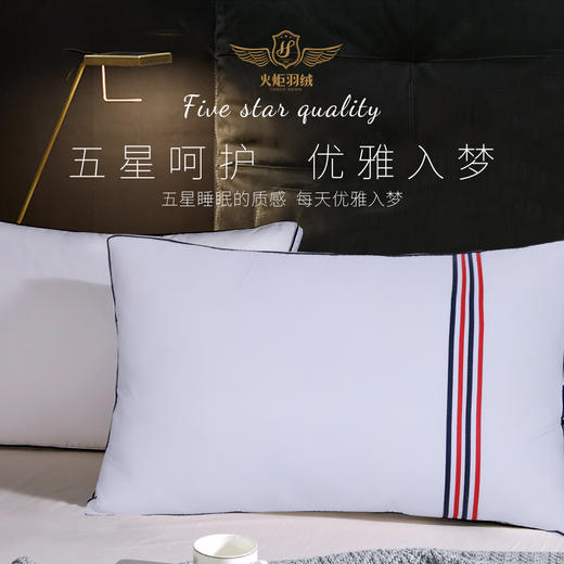 100支全棉鹅毛枕 五星级酒店的品质享受 商品图0