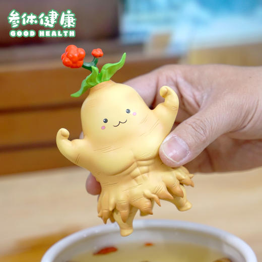 参体健康 模型手办 “身体健康”谐音梗潮玩 ★动物帮帮农场 官方正品【48小时发货】 商品图1