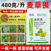 奥光48%麦草畏玉米田除阔叶杂草圆叶杂草专用除草剂农药正品农用 商品缩略图1