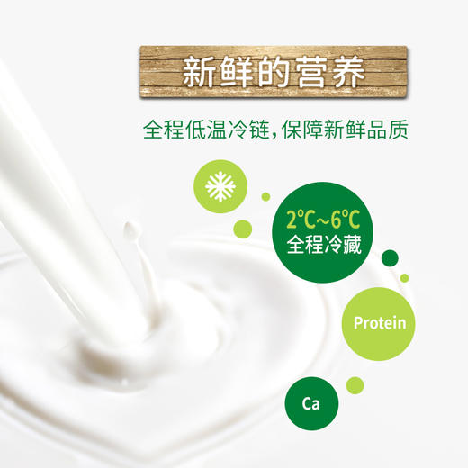 「银川本地日配服务」夏进瓶装巴氏奶 230ml/瓶 其他地区下单请联系客服 商品图2