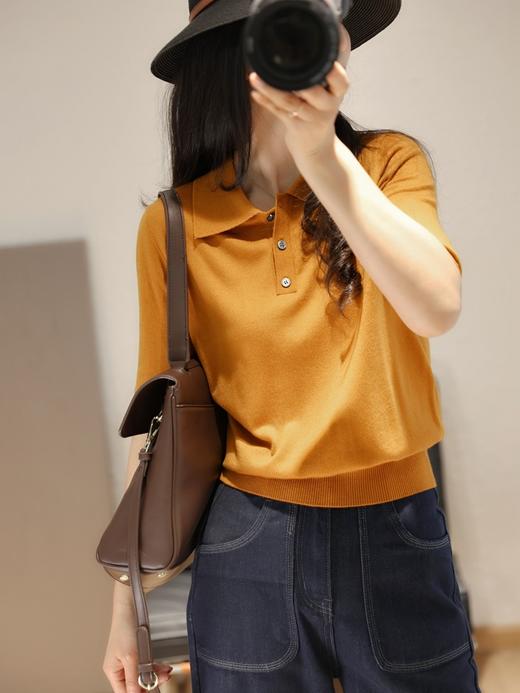 LP精简老钱风POLO翻领短袖含桑蚕丝针织衫 商品图1