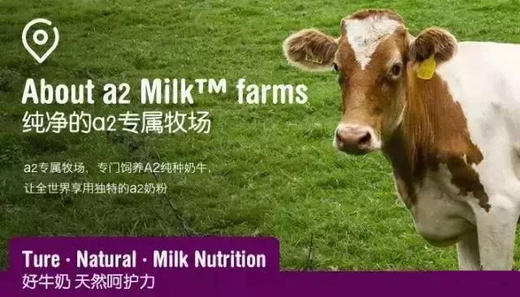 别让孝心等待❗澳洲国民品牌A2中老年奶粉！ 珍稀A2型蛋白质❗乳糖不耐受也能喝 线下一罐208 a2乳铁蛋白中老年奶粉调制乳粉 800g a2是澳洲销量NO.1的牛奶品牌❗澳洲鲜奶中的爱马仕❗ 商品图9