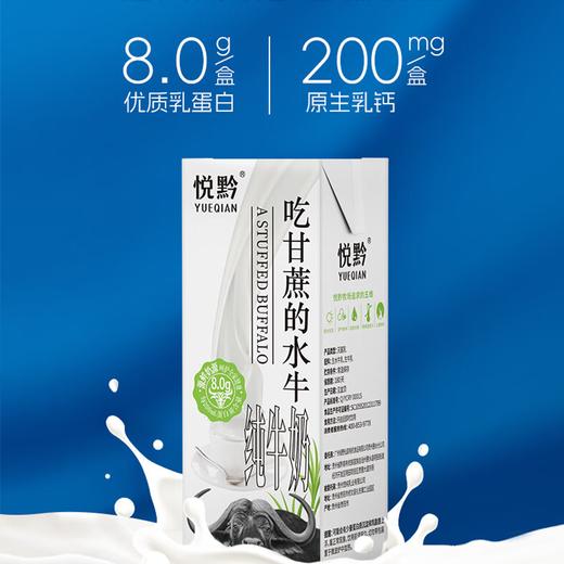 贵州省惠水县悦黔吃甘蔗的水牛纯牛奶200ml*10盒/提 商品图7