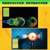 看见科学：科学探索中的视觉之美 科学数据 视觉解读 科学模型 商品缩略图1