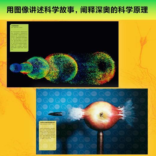 看见科学：科学探索中的视觉之美 科学数据 视觉解读 科学模型 商品图1