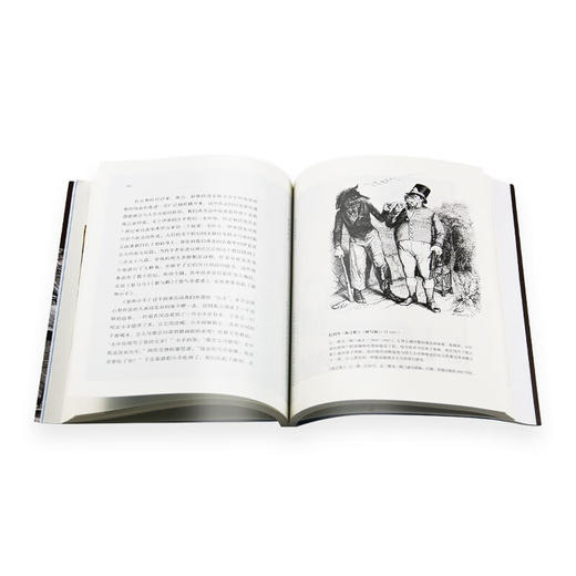 狼的文化史 米歇尔 帕斯图罗 著 白紫阳 译 文化研究 三联书店 商品图3