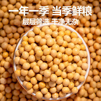 北纯 有机黄豆2.5斤/袋（高叶酸 打豆浆 发豆芽 东北大豆 五谷杂粮 ） /粮油调味 /杂粮 /杂豆类 商品图1