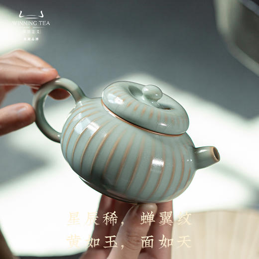 问鼎汝瓷复刻款天青心曲壶 商品图2