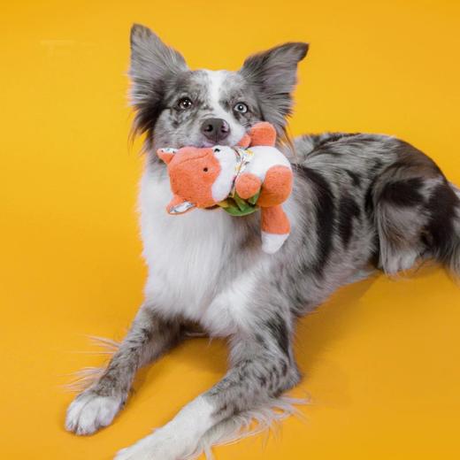 GiGwi贵为宠物用品 商品图9