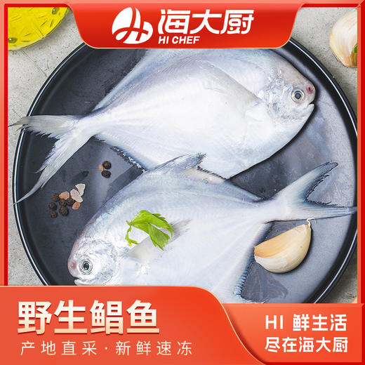 野生银鲳鱼 商品图0