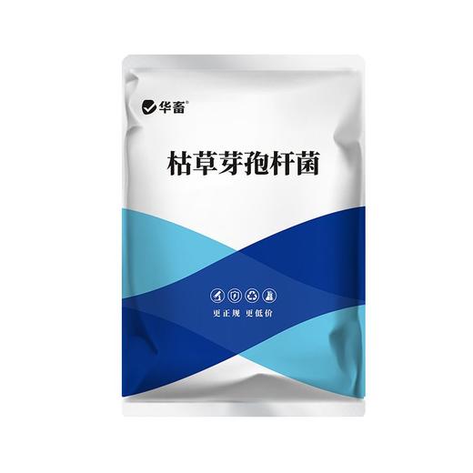 华畜枯草芽孢杆菌菌种水产养殖专用菌原种菌粉虾蟹塘活菌em益生菌 商品图7