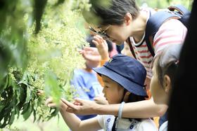 【果趣乐园】海珠湿地五秀营地活动（15+人团）