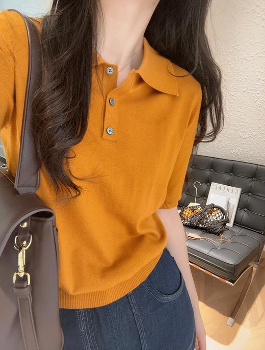 LP精简老钱风POLO翻领短袖含桑蚕丝针织衫 商品图8