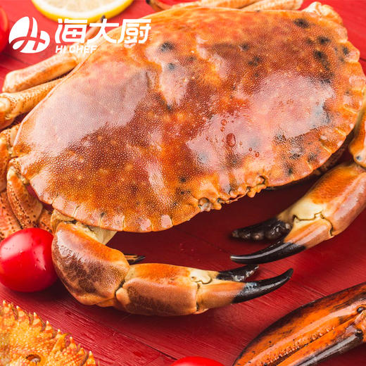 海大厨-面包蟹 商品图1