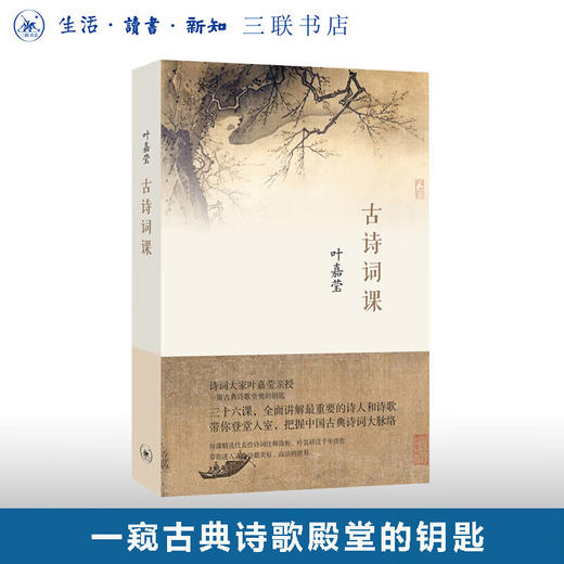 古诗词课 叶嘉莹 著 全面讲解中国古诗词  三联书店 商品图0