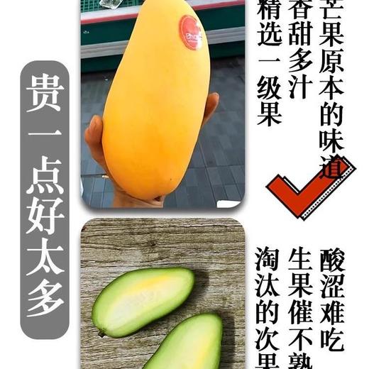 海南金煌芒10斤芒果一级大果新鲜水果现摘青甜心黄皮水仙芒整箱 商品图3