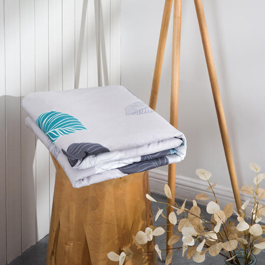 罗莱全棉水洗蚕丝夏被新一代180*200【分仓直发，72小时发货，周末节假日不发货】 商品图2