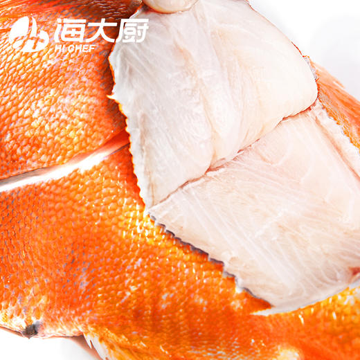 海大厨-长寿鱼 商品图2