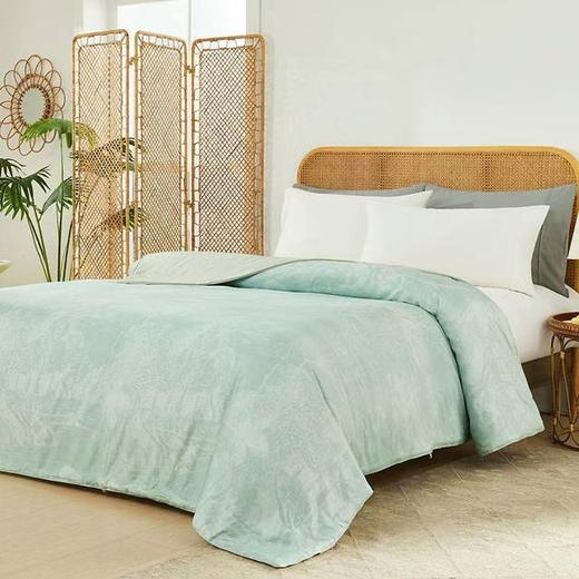 山姆新品‼️‼️Member’sMark桑蚕长丝夏被

200cm*230cm适用于1.5M床，1.8也能用

AB面一面灰色 一面绿色 山姆夏被礼盒包装

原价339 商品图6