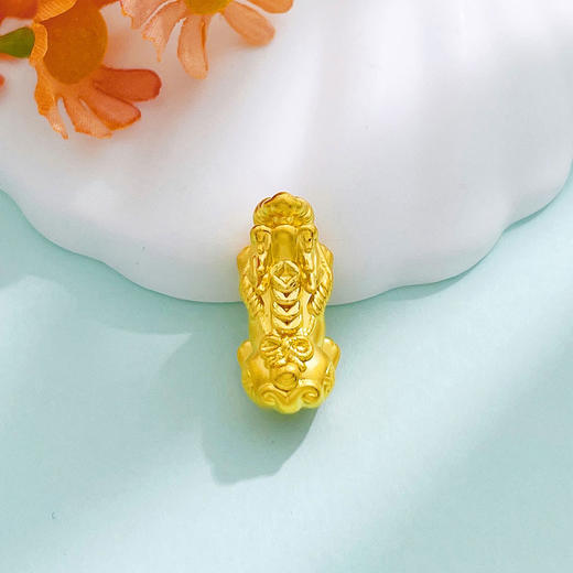 【限时7.5折】【定价黄金】足金 3D硬金硬金空心财运亨通铜钱图案貔貅手串配件Diy手串配件(面宽约22*10.6mm)(AU3DSC00033-3)（预售产品下单后不退款不退货不换货不补差价） 商品图1