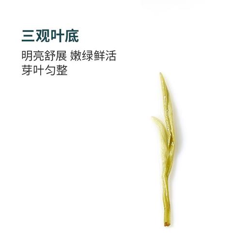 【2026新茶】卢正浩明前特级碧螺春正宗茶叶绿茶传统纸包150g绿茶 商品图4