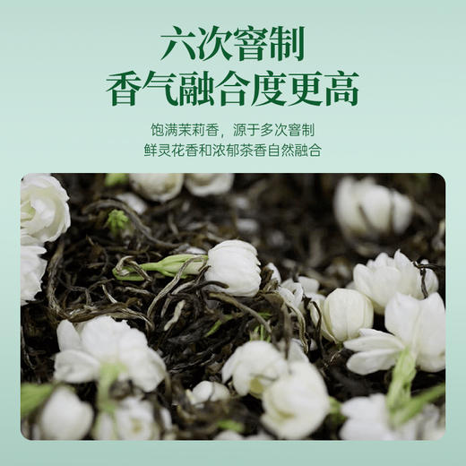 【25年新茶】华祥庄园-茉莉花茶125g 商品图4