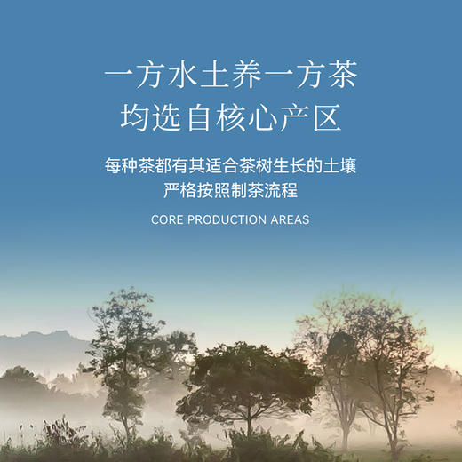 【新品】开始喝茶丨礼上 二十四节气 茶叶礼盒 96g 六大茶类 商品图2