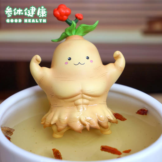 参体健康 模型手办 “身体健康”谐音梗潮玩 ★动物帮帮农场 官方正品【48小时发货】 商品图2