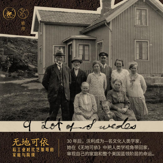 无地可依:后工业时代芝加哥的家庭与阶级 美克里斯蒂娜 · J. 沃利 著 三联书店 商品图4