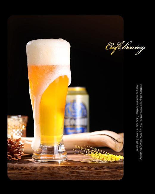 3-7天发货【自营】图森堡德式小麦 精酿啤酒12度精酿 500ml*12瓶/箱 商品图2