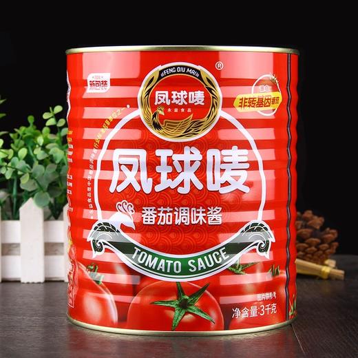新疆凤球唛番茄调味酱3kg*6罐 易拉装整件36斤 商品图1