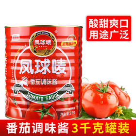 新疆凤球唛番茄调味酱3kg*6罐 易拉装整件36斤