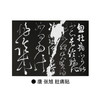 书法 一份关于书法的知识、观念和深入途径的备忘录 邱振中 著 三联书店 商品缩略图6