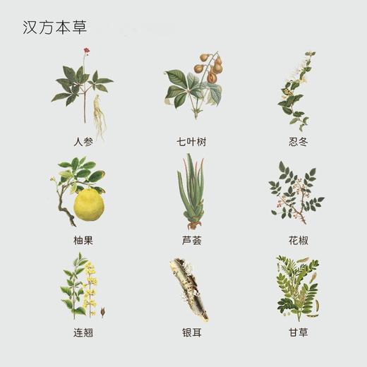 人参眼部精华乳 4周淡化细纹 人参七叶树等9种汉草萃取方便吸收  今韵眼霜精华 13g/瓶 商品图2
