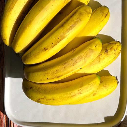 广东高州遁地雷香蕉 自然成熟 不打药 韵达发货 商品图2