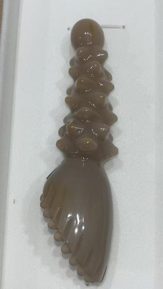 38珠海参莲蓬 商品图0