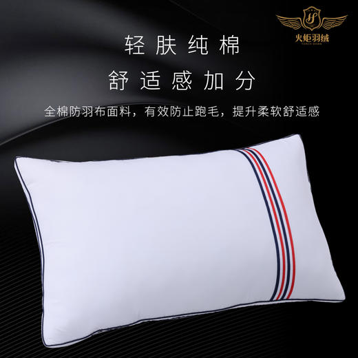 100支全棉鹅毛枕 五星级酒店的品质享受 商品图2