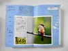 G-有鸟高飞——中国科学院西双版纳热带植物园·鸟类图谱 &3159 商品缩略图3