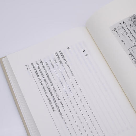 詩集 附唐篔詩存 精装 陈寅恪集 古籍文学文集 三联书店 商品图3