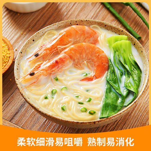 【小米粗面/细面200g*8】任小米无麸质小米面条无小麦无蛋奶拌面粗粮杂粮实惠装 商品图2