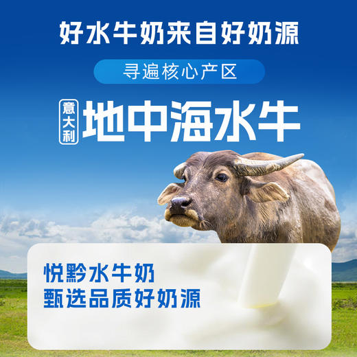 贵州省惠水县悦黔水牛纯牛奶200ml*10盒/提 商品图1