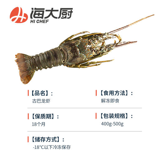 古巴龙虾400-500 商品图4