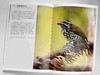 G-有鸟高飞——中国科学院西双版纳热带植物园·鸟类图谱 &3159 商品缩略图2