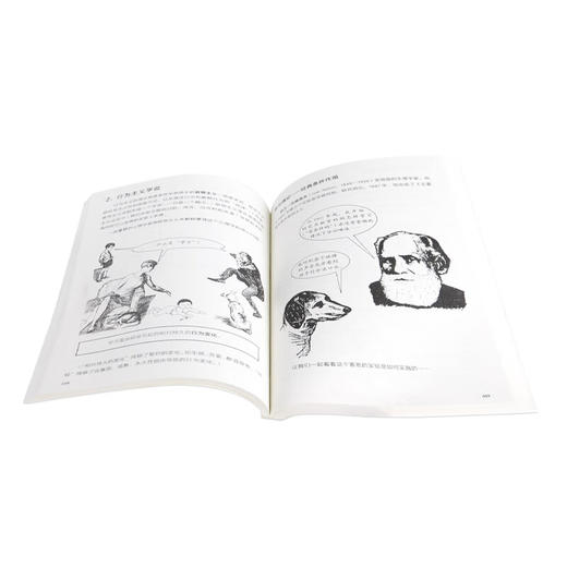 心理学 奈杰尔·C·班森 著 社会科学 图画通识系列  三联书店 商品图1