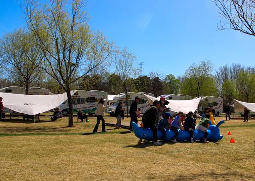 2026年清明&周末丨399起，房车游花海，搭上开往春天的大房车 商品图2