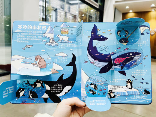 【青葫芦】【精装硬壳绘本 揭秘翻翻书系列任选】2-6岁幼儿早教绘本宝宝撕不烂翻翻书 商品图11