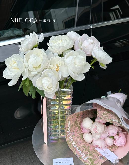 【1F】一米花坊 特价芍药，春日福利 商品图0