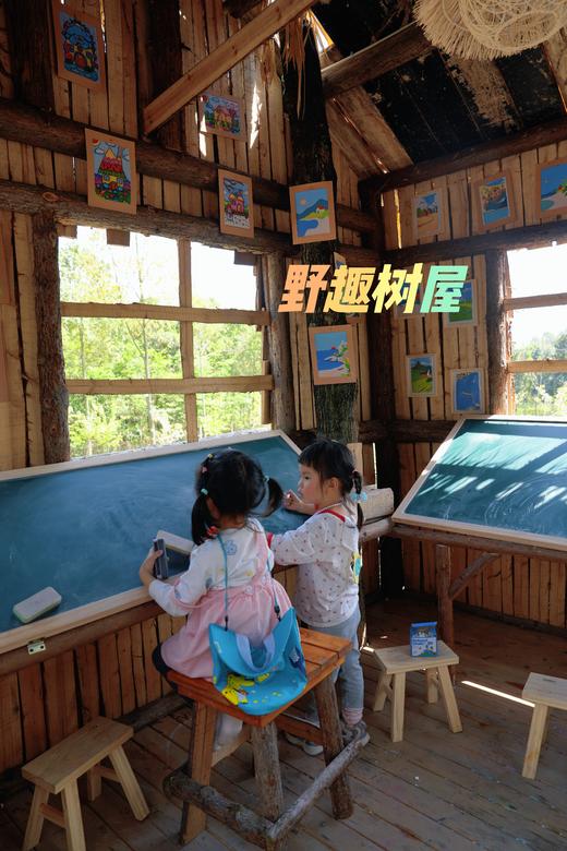 【成都1日游-郫都1号营地】团建荒野厨房柴火鸡/自助烧烤/竹筒饭diy、溪流捞鱼、捉鸡游戏 商品图7