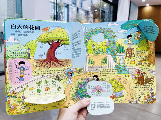 【青葫芦】【精装硬壳绘本 揭秘翻翻书系列任选】2-6岁幼儿早教绘本宝宝撕不烂翻翻书 商品图7
