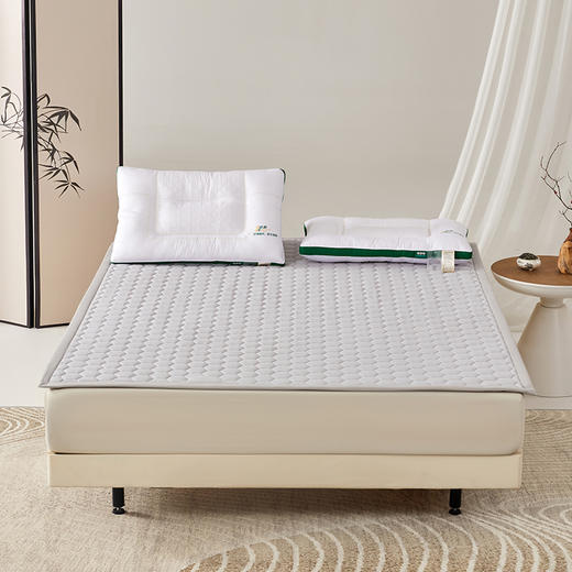 寤香 华西医学中草药医学1号床垫 品质提花面料 透气性好 轻便易打理 商品图10